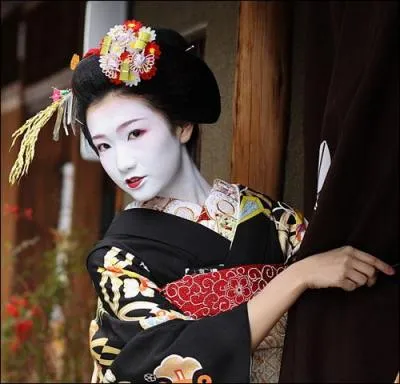 Comment appelle-t-on une apprentie geisha ?