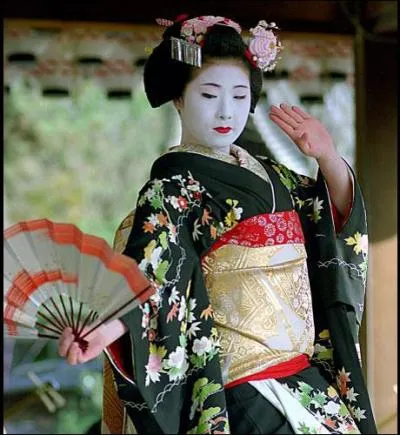 Leur formation comprend l'art de la conversation, du chant, des instruments de musique, de la calligraphie et ...