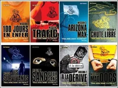 Quel est le titre du tome 13 ?