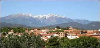 La commune Languedocienne de Villeneuve-de-la-Raho se situe dans le dpartement n...