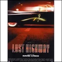 Quel est le titre de ce morceau de Lou Reed que l'on entend dans ce film ?