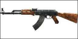 Quelle est cette arme ?