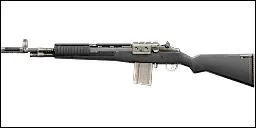 Quelle est cette arme ?