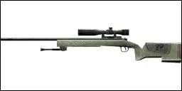 Quelle est cette arme ?