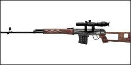 Quelle est cette arme ?