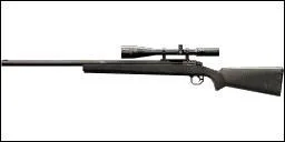 Quelle est cette arme ?