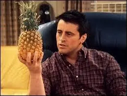 Quel est le nom de famille de Joey ?