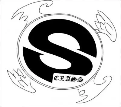 Quels sont les mages qui sont au rang S ?