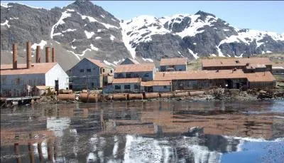 Sur quelle industrie la Gorgie du Sud a t-elle bti sa richesse au XXme sicle ?