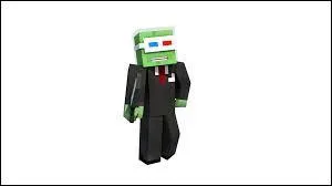 Savez-vous quel est le skin de ce minecraftien ?