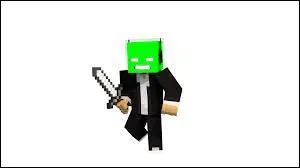 Quel est le skin de ce minecraftien ?