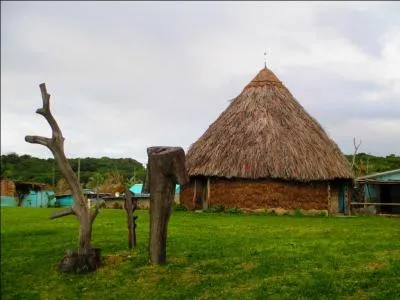 Quel est le nom qui dsigne une maison tropicale en paille ?