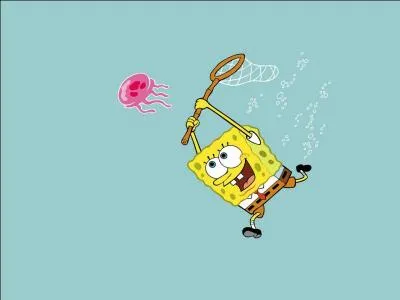 Dans quelle ville Bob l'ponge et ses amis vivent-ils ?