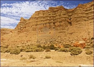 Comment se nomme ce dsert froid qui s'tend sur le Sud de l'Argentine ?
