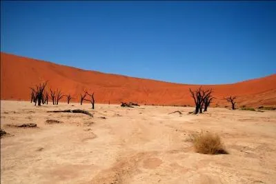 Quel est le nom du dsert d'Afrique voqu dans le film  Les dieux sont tombs sur la tte  et o vivent les Bushmen ?