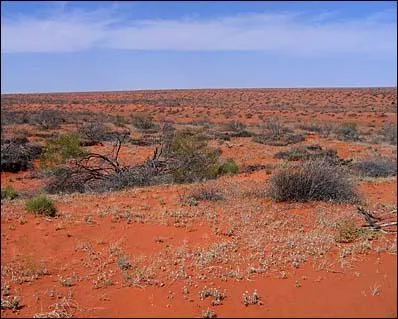 Comment se nomme ce dsert subtropical australien qui pourtant n'a rien  voir avec Homer ?