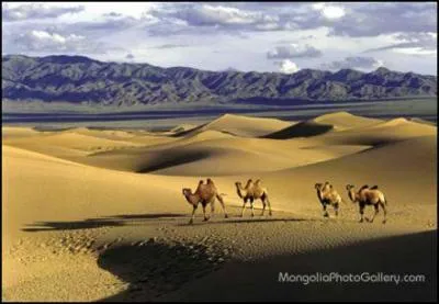 Comment se nomme ce dsert froid qui s'tend sur la Chine et la Mongolie ?