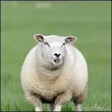 Isa a une belle-mre, qui se cache o ?