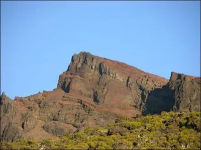 A quelle hauteur culmine-t-il ?