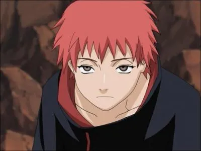 Quelle est la devise de Sasori ?