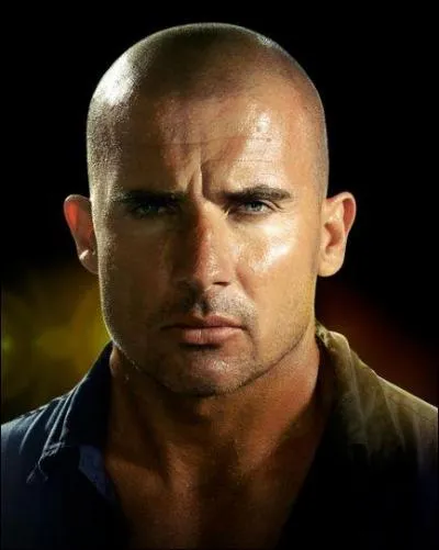 Dominic Purcell est connu grace  deux sries ' John Doe ' et '  Prison Break ' mais dtes moi dans quel film n'a t-il pas jou ?