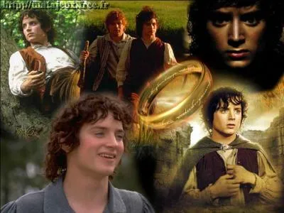 Dans le Seigneur des anneaux, quelle mission Frodon doit-il accomplir ?