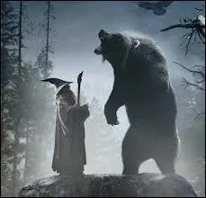  votre avis, qui interprte le rle de Beorn ?