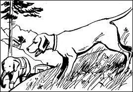 Qui est le matre de Dagobert ?