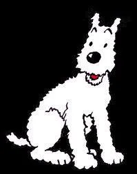 Qui est le matre de Milou ?