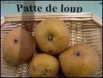 Cette pomme rustique,  la Patte de loup , est encore vendue sur les marchs de Nantes. La chair fine et parfume se conserve trs bien. De quel dpartement cette ville est-elle le chef-lieu ?