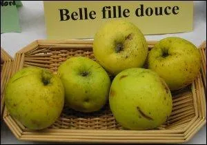  Belle Fille Douce  est une pomme  deux fins. Pourquoi l'appelle-t-on ainsi ?