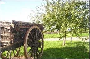 La pomme  Monte en l'Air Long Ray  n'est pas une grande varit cidricole, mais elle se conserve plutt bien. Pour quelle raison cette varit porte-elle ce nom trange ?
