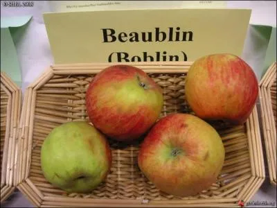 L'aire de rpartition de la pomme  couteau  Beaublin  se trouve au nord-ouest de Rennes. Quel en est le dpartement ?