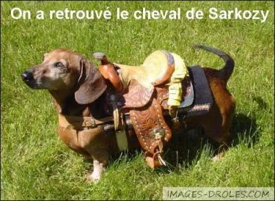 Combien de temps Nicolas Sarkozy est-il resté président de la République française ?