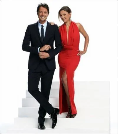 Qui prsente  Danse avec les stars 4  ?