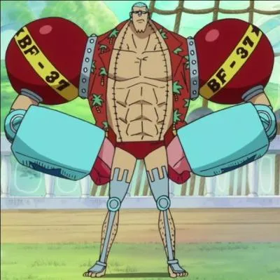 Que devient Franky pendant son sjour au royaume futuriste de Balgimoa ? Rponse  la page 4,  One Piece 65  !