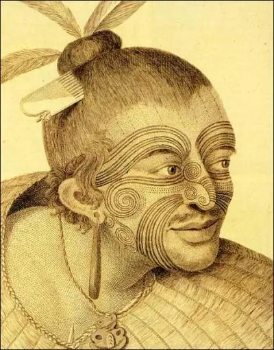 Quels territoires découverts va-t-il cartographier ?