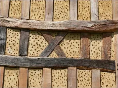 La base des murs des maisons pauvres du Moyen-ge.