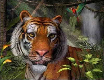 Quel tigre ne peut-on plus trouver ?