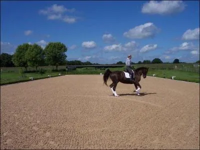 Comment faire avancer le cheval ?