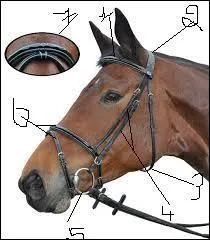 Dans l'ordre des numros comment se nomment les parties du filet ( pour le numro 7, il faut donner le nom prcis du numro 6 ) ?