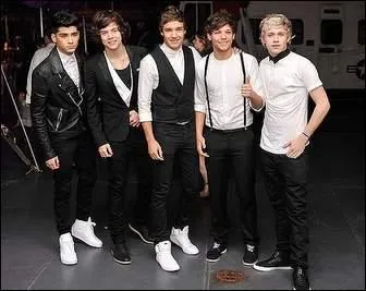 Dans quelle émission les One Direction se sont-ils fait connaître ?