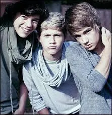 Lequel de ces trois membres aime le plus les animaux ?