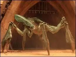 Quel est ce monstre ?