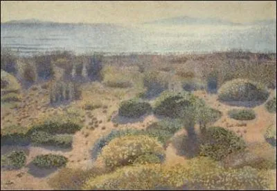 Plage de la Vignasse.