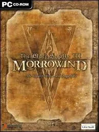 Sur la jaquette du jeu vido  Morrowind , qu'est-ce que l'auteur essaie d'exprimer ?