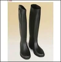 Dans ce film, pour pratiquer la drague, le personnage principal, que joue Jean Rochefort, ressort du placard ses vieilles bottes d'quitation. Le film est... ?