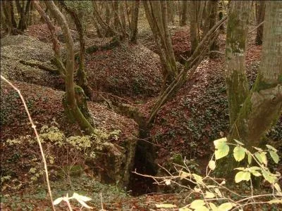  quelle date l'arme allemande lance-t-elle l'attaque sur Verdun ?