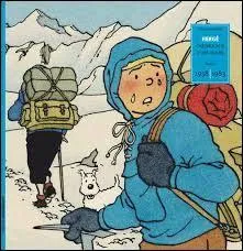 De quelle nationalit est Tintin ?