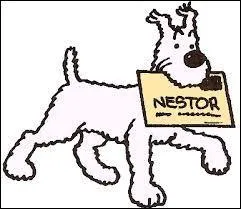 Qui est Nestor ?